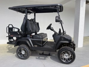 Evolution Black D5 Maverick 4 Passenger Golf Cart  02